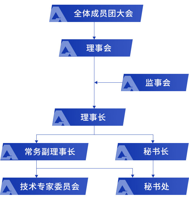 组织架构_03.jpg